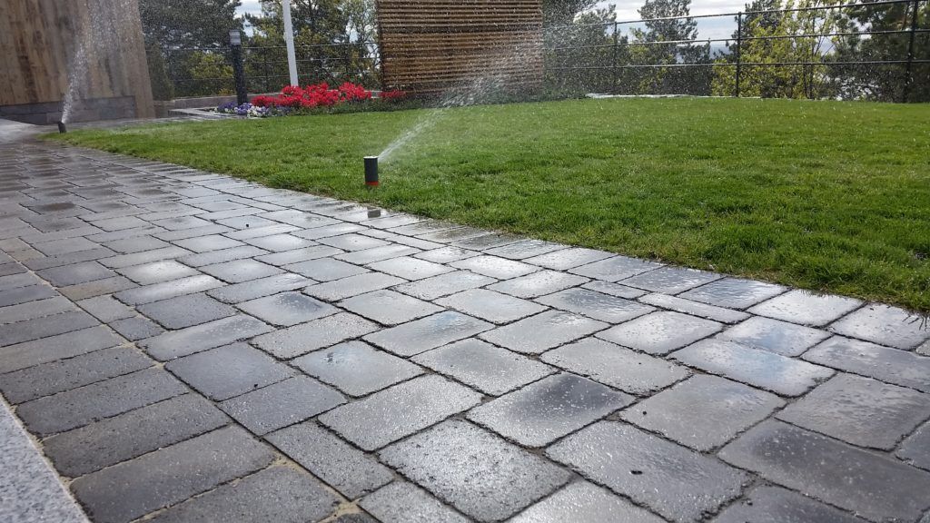 Gangvei i grå belegningsstein langs plen